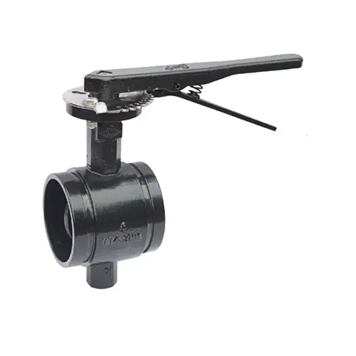 BS EN 593 Van bướm rãnh với cổ dài