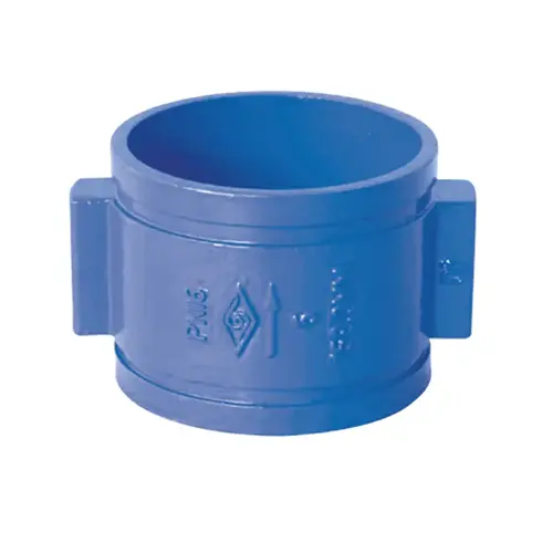 Cửa kiểm tra cửa đôi DH87X PN10/16